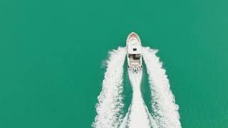 35 Calypso