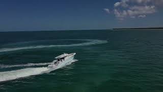 2022 42 Yellowfin